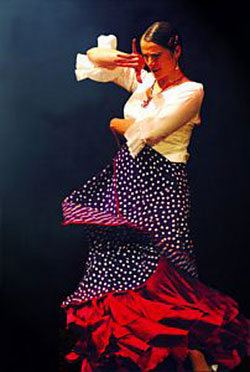 flamenco la mona